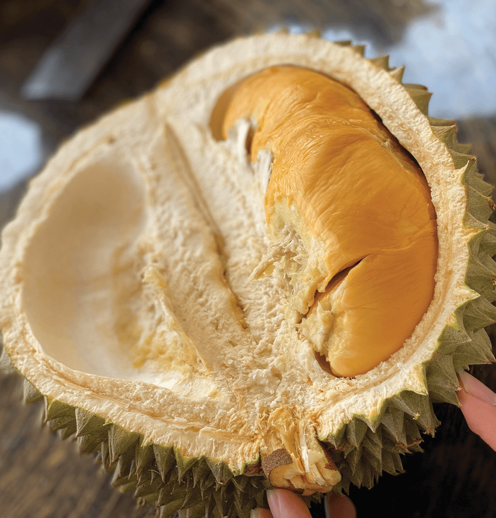 Black Thorn Fresh Durian