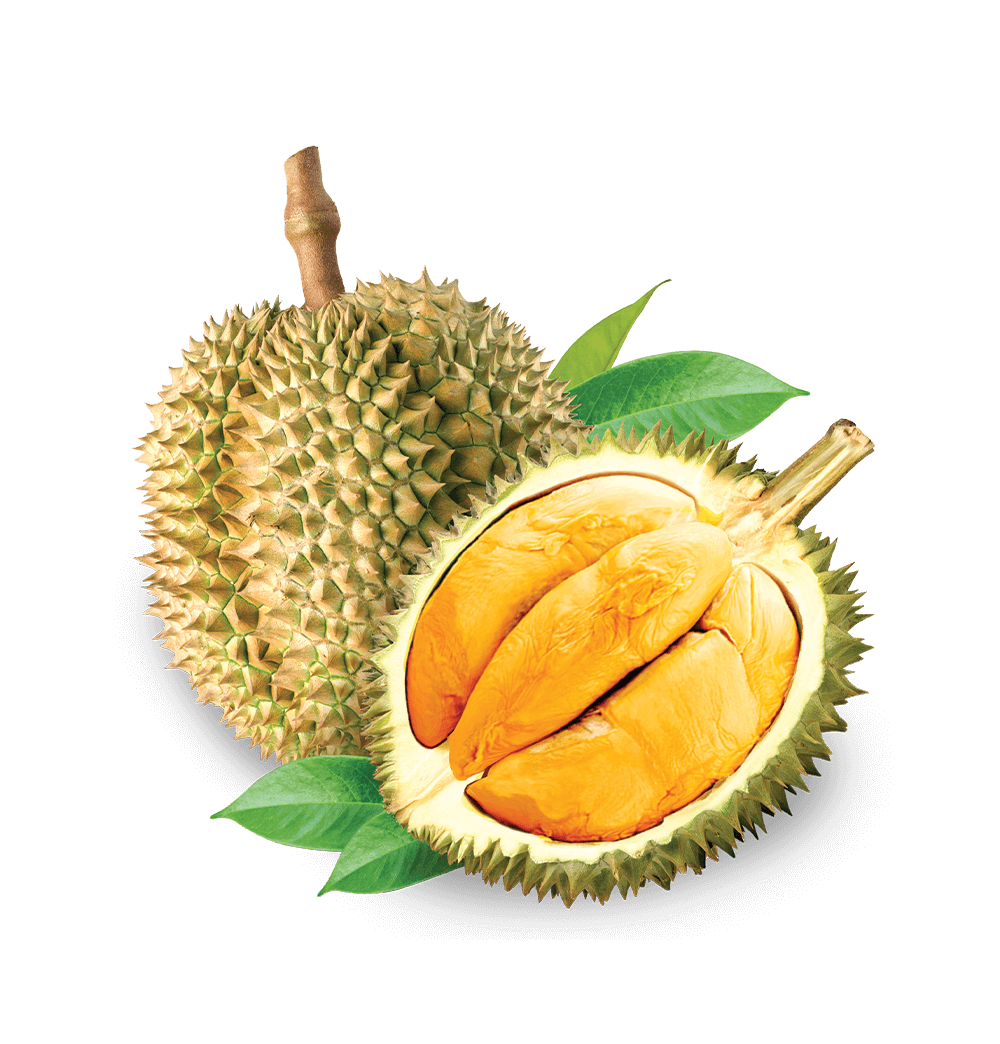 Black Thorn Fresh Durian