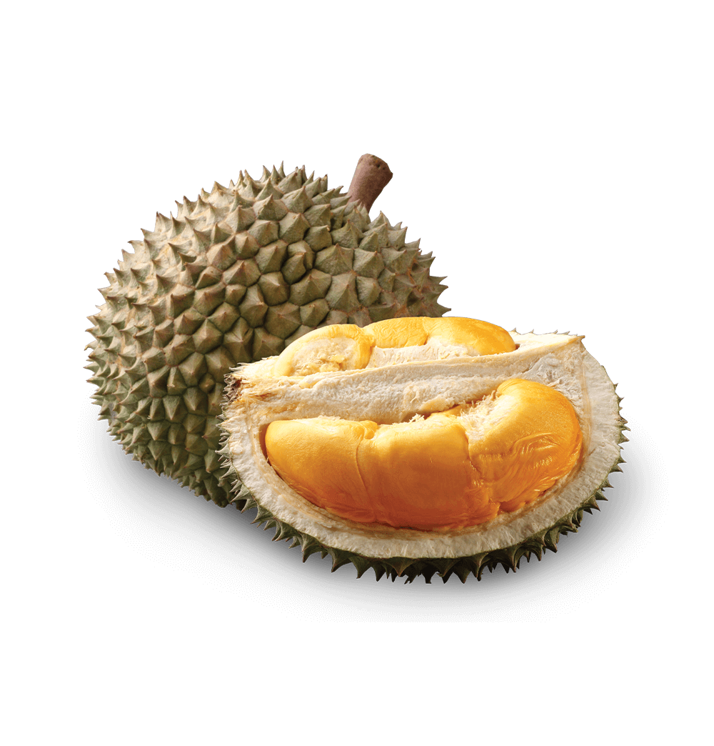 Black Thorn Frozen Durian