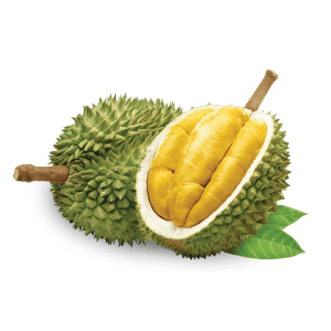 Musang King Fresh Durian