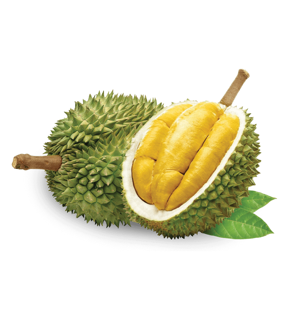 Musang King Fresh Durian