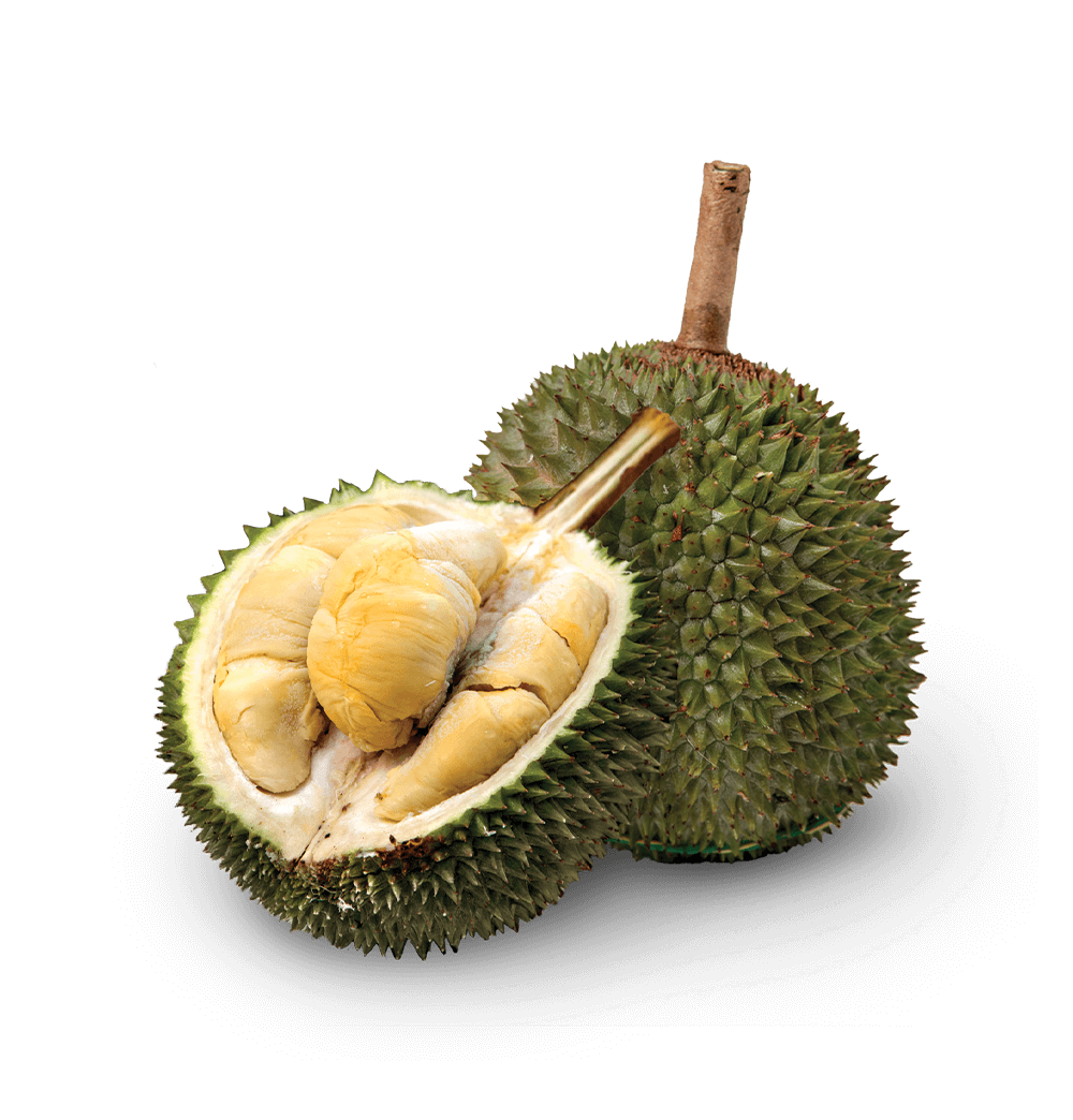 Musang King Frozen Durian