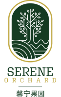 Serene Orchard